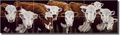 Heres Looking At You By Liz Mitten Ryan Cattle Steers Ceramic Tile Mural 8 5 X 29 75 Kitchen Shower Backsplash 