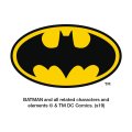 Graphics More Robin And Riddler Snowball Fight Novelty Metal Vanity Tag License Plate