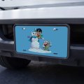 Graphics More Robin And Riddler Snowball Fight Novelty Metal Vanity Tag License Plate 