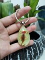 Ptgmh Keychain Black Scorpion Resin Key Ring Glow In The Dark Pendents With Insect Sample Inside For Bag Decoration