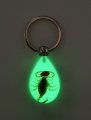 Ptgmh Keychain Black Scorpion Resin Key Ring Glow In The Dark Pendents With Insect Sample Inside For Bag Decoration