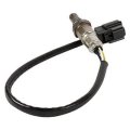 Motorcraft Dy-1296 Hego Sensor 1 Pack