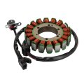 18 Coil 4 Wire Generator Magneto Stator Ignition Replacement For Wildcat 1000 Gt Metallic 0802-072 0802-064 