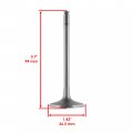 Caltric Intake Valve Compatible With New Honda 14711-hl4-000