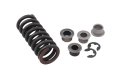 Xtremeamazing Front Or Rear Door Hinge Pin And Spring With Bushing Kit 2 1 For 1994-2004 Chevy S10 Gmc S15 