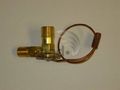 Global Parts Distributors Expansion Valve 