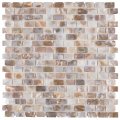 Somertile Conchella Subway Natural 12 25 X 5 Seashell Mosaic Tile 