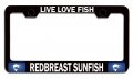 Live Love Fish Redbreast Sunfish Fishing Black Metal License Plate Frame Tag Holder T11 