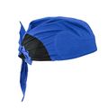 Radians Rcs305 Arctic Skull Cooling Headshade Blue 