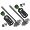 Caltric 2x Intake Valve Kit Compatible With Yamaha Yz450f 2010 2011 2012 2013 33d-12111-00-00