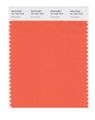 Pantone Smart 16-1452x Color Swatch Card Firecracker 
