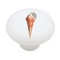 Fancy Sea Shell Decorative High Gloss Ceramic Drawer Knob 