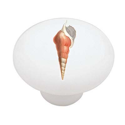Fancy Sea Shell Decorative High Gloss Ceramic Drawer Knob