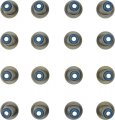 Victor Reinz 12-10027-01 Engine Valve Stem Oil Seal Set 