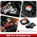 2 Piece Radiator Cap Replacement For Acura Integra 1994 To 2001 And Honda Civic Accord Odyssey Crv Part Number 19045-paa-a01