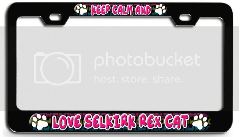 Keep Calm And Love Selkirk Rex Cat 3d Metal License Plate Frame Black Heavy Duty Steel Tag Holder For Autos Suvs Trucks 12 In X