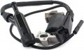 Ignition Coil For Pg3250 Pg3500 Pg3500m 3250 3000 3500 Generator Gasoline Engine