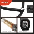 A-premium O2 Oxygen Sensor Compatible With Honda Cr-z 20-2016 Fit 2009-2013 2015-2020 Insight 2010-2014 1 3l 1 5l Downstream