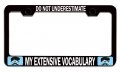 Do Not Underestimate My Extensive Vocabulary Geek Bl Steel Auto Suv License Plate Frame Tag Holder 