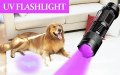 Modoao Black Light Flashlight Scorpion Detector Ultraviolet With 3 Modes Mini Uv Pet Urine And Stains Bed Bug Hunting-10 Pack