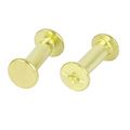 Uxcell 5mmx20mm Brass Plated Chicago Screws Binding Posts Docking Rivet 30pcs