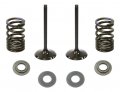 Psychic Or5193-ik Intake Valve And Stainless Steel Spring Kit For Honda Crf450r 2007-2008 Affordable Durable Assembly Solution 