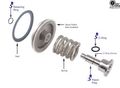 Sonnax Rear Servo Piston Plug 