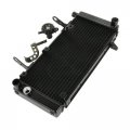 Tcmt Radiator Engine Cooling Fit For Suzuki Sv1000s Sv 1000 S Sv1000 2003-2008