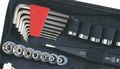 Apollo Precision Tools Dt9774 Auto Tool Kit Zippered Case 56-piece 