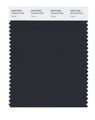 Pantone 19-4218 Tcx Smart Color Swatch Card Vulcan 