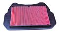 Hiflofiltro Hfa1709 Premium Oe Replacement Air Filter 