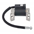 Hifrom Electronic Ignition Coil With 491588 Air Filter Spark Plug For Quantum Intek Single Cylinder Replacement 695711 802574