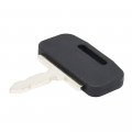 2 Pcs Ignition Key 1695447m1 3813361m1 Compatible With Massey Ferguson Tractor 20 D F 230 235 240 245 250 255 265 148 165 168