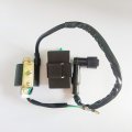 Cdi Box And Ignition Coil Set For Kazuma Meerkat 50 50cc Falcon 90 110 90cc 110cc Atv Aquiver Auto Parts