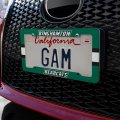 Binghamton Bearcats Stripes License Plate Tag Frame