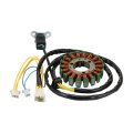 Motorcycle Stator Coil Replacement For Sym Joymax 125 Lm12w-t Gts 200 Lm18w-6 Gts125 Ln12w2-6 125ln12w4-6 Lm12w1-7 