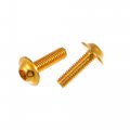 Uxcell 20pcs Gold Tone Motorbike Sportbike Fairing Bolt Screw 6mm X 20mm