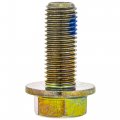 Polaris Gem Bolt With Patch 10 Mm X 25a Mm 25 Genuine Oem Part Qty 1
