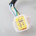 2-coil Magneto Stator For 50 Cc 70cc 90cc 110 125cc Atvs Dirt Bikes Go Karts Quad 4 Wheeler Pit Bike Dune Buggy 