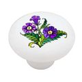 Morning Glory Decorative High Gloss Ceramic Drawer Knob 