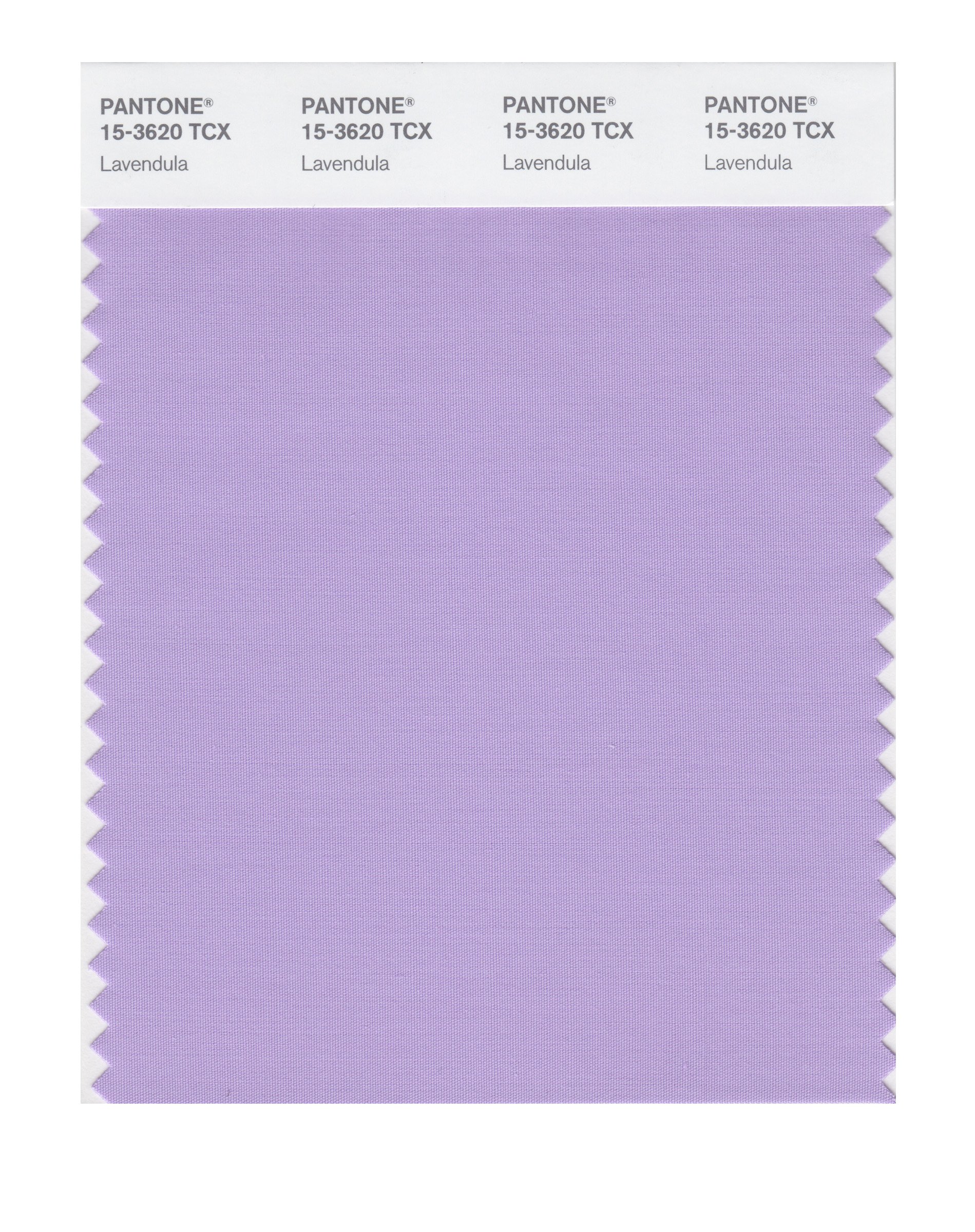Pantone Smart 15-3620x Color Swatch Card Lavendula