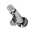 Ts Brass B-0800 Metering Faucet With Single Temperature 1 2-inch Npt Female Inlet And Rose Spray 