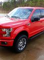 Ford 302 V8 5 0l Coyote Chrome Emblems Pair