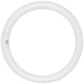 Bulb Fluor Circle 1232w12 