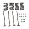 Carbpro Cylinder Intake Exhaust Valve Kit For Honda Trx300ex Sportrax 300 2x4 1993-2008