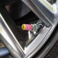 Biohazard Quarantine And Chill Tire Rim Wheel Aluminum Valve Stem Caps