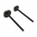 Carbman 14711-437-000 Intake Exhaust Valves For Honda Trx200 Atc185 Atc200x Atc200 Atc 185 200x 200 E Es M S 14721-437-000