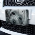 Graphics More Yorkshire Terrier Yorkie Tired Sleepy Dog Novelty Metal Vanity Tag License Plate 