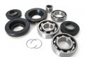 Rear Differential Bearings And Seals Kit For Honda Trx650 Rincon 2003 2004 2005 Includes 4 2 Sirclips 