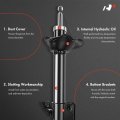 A-premium Front And Rear Suspension Strut Assembly Shock Absorber Compatible With Bmw Z3 1996-2002 Driver Passenger Side